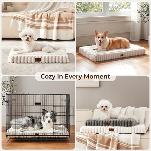 Dog Bed Medium Sized for Crate (Cream / M(30x20x3"))