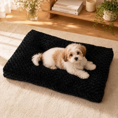 Dog Bed Medium Size (Black / 29"L x 21"W x 3"Th)