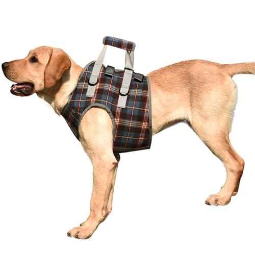 Dog Lift Harness (Medium / Chest-Blue)