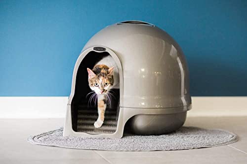 Booda Clean Step Cat Litter Box Dome (Cleanstep Litter Box / Brushed Nickel)