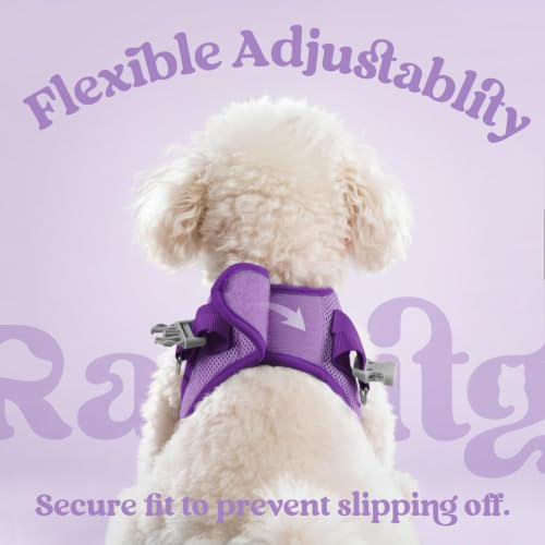 Dog Harness Small Sized and Leash Set (Light Purple & Purple / XS (Chest: 13.3"-15.5"))