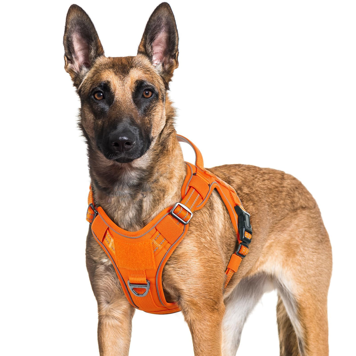 Tactical Dog Harness for Large Dogs (Xl(chest:23.6"-41.8",neck:21.7"-32.3",back:9.1") / Orange)