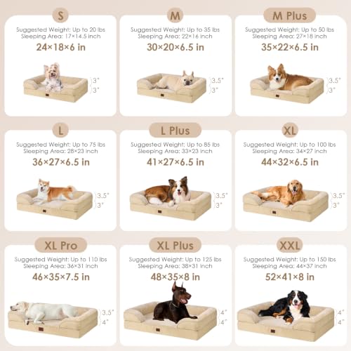 Orthopedic XXL Dog Bed (Graige / 46.0"l X 35.0"w X 7.5"th)