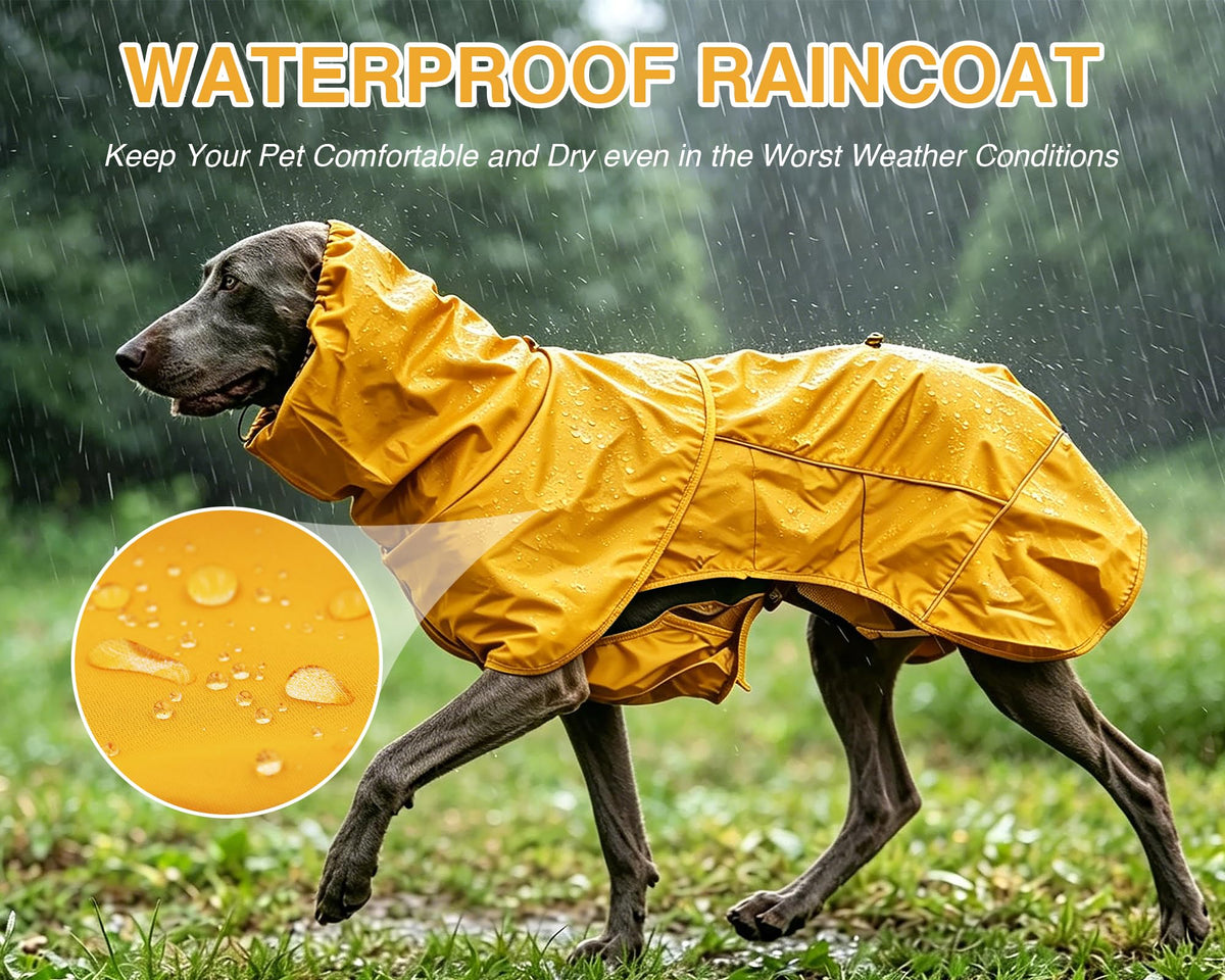 Dog Raincoat with Hood (yellow (Mesh Lining) / XL)