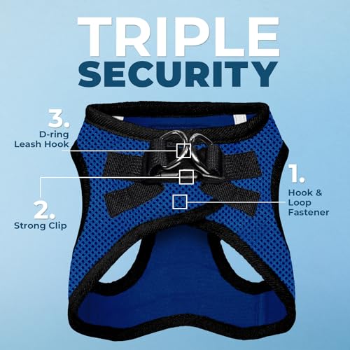 Voyager Step in Air All Weather Mesh Harness and Reflective Dog 5ft Leash Combo with Neoprene Handle