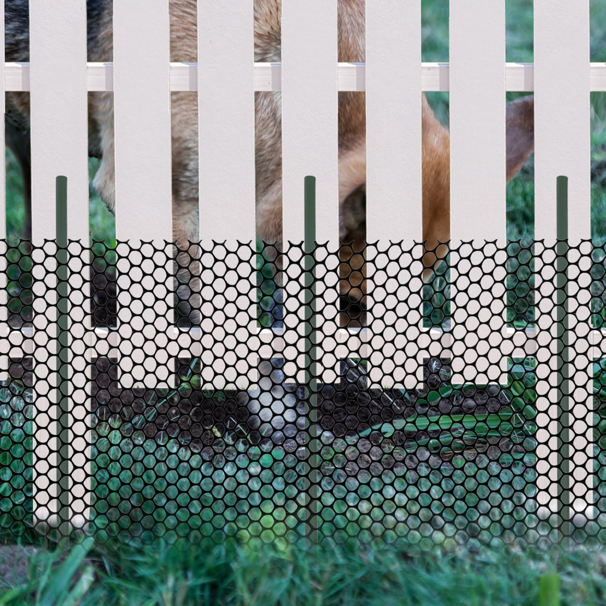 Animal Barrier Fence 12in x 66ft No Dig Garden Fence Mesh Fencing with Steel Stake Movable Portable Temporary for Poultry Dogs Rabbits Chicken Snake Barrier Garden Backyard Outdoor (12in x 66ft)