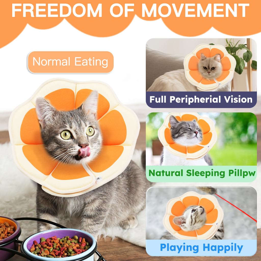Cat Cone Collar Soft (Orange / Small)