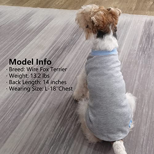 2Pack Waffle Dog Shirt for Small Dogs Striped Dog Sweater Tank Top (Medium (7-11lbs) / 2Pack(Blue+Grey))