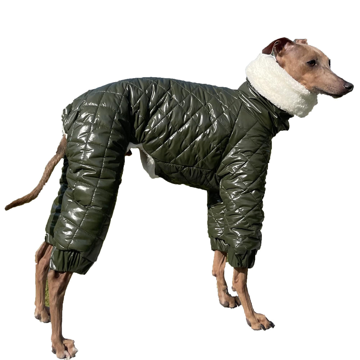D Doggy Star Italian Greyhound Snowsuit Winter Thick Padded Coat Warm Outfits Jacket Turtleneck Clothes Whippet for Dog (XL / Snowsuit Khaki)