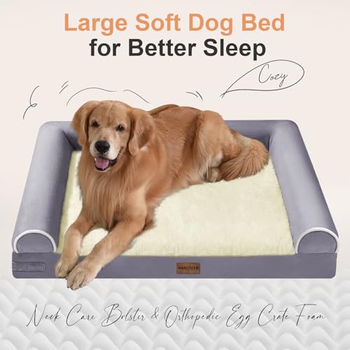 Orthopedic Dog Bed for Large Dogs (Purple / 36.0"L x 27.0"W x 6.5"Th)