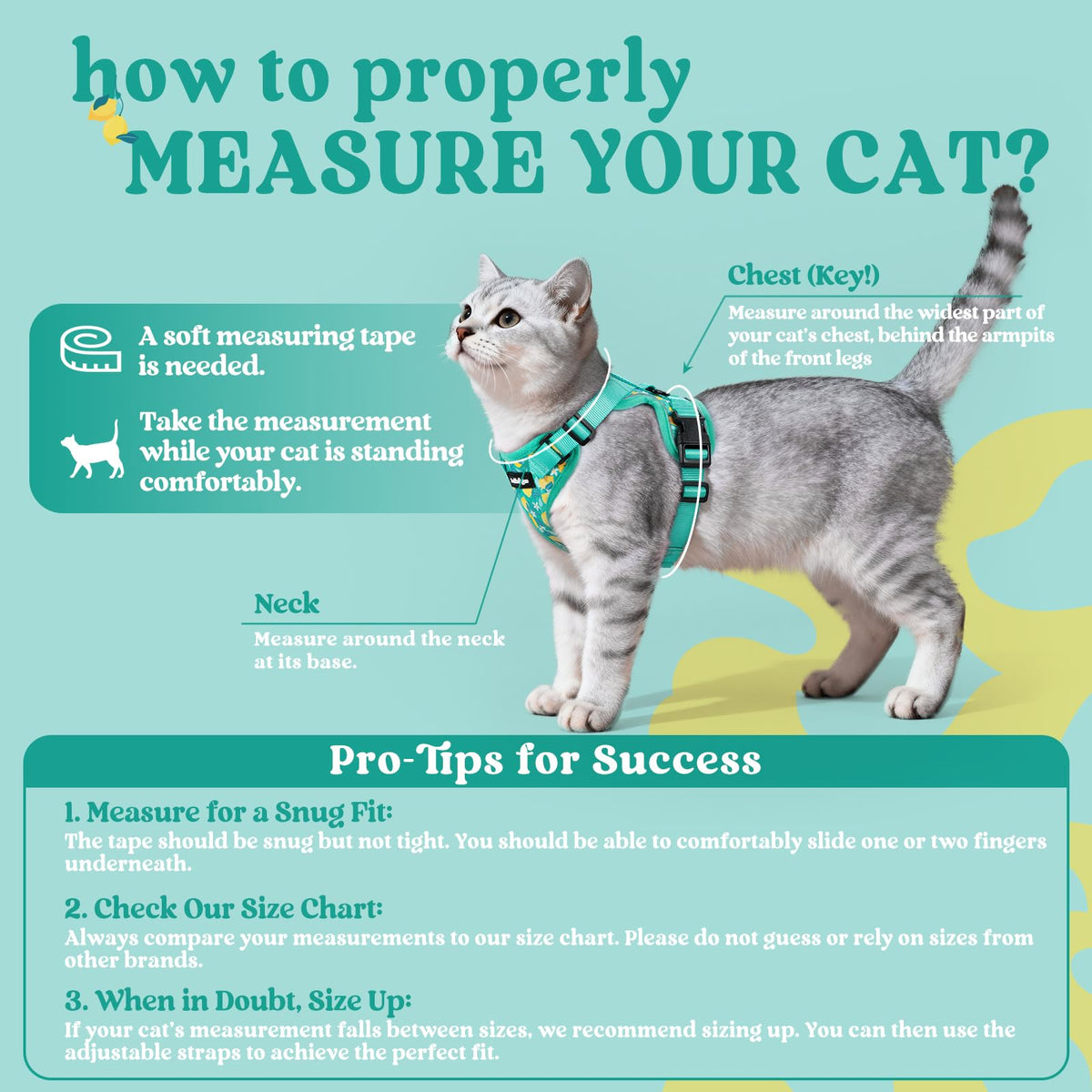 Cat Harness and Leash Set (Xs / Lemon Grove)
