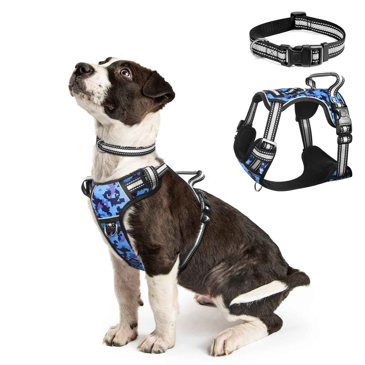Dog Harness No Pull (Small / Blue Camo)