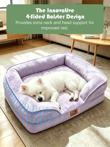 Orthopedic Dog Bed with Sides (24.0"L x 18.0"W x 6.0"Th / Purple)