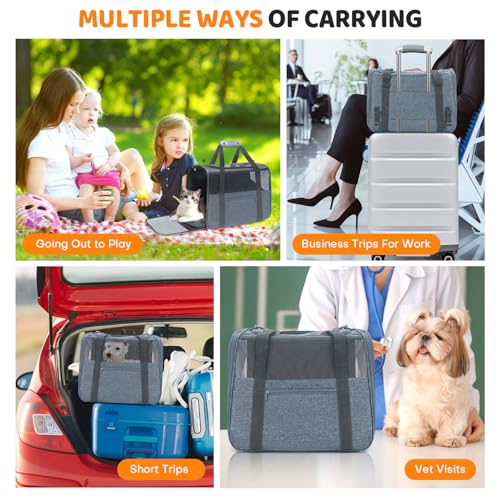 JUNGYOUN Premium Cat Carrier (Charcoal / 17.5"L x 12.4"W x 13.5"H)