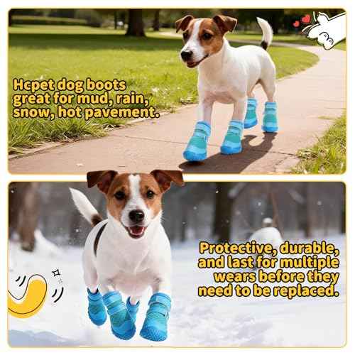 Dog Shoes for Small Dogs (Blue / #3 (Width 1.49 inch) for 11.0-16.5 lbs)