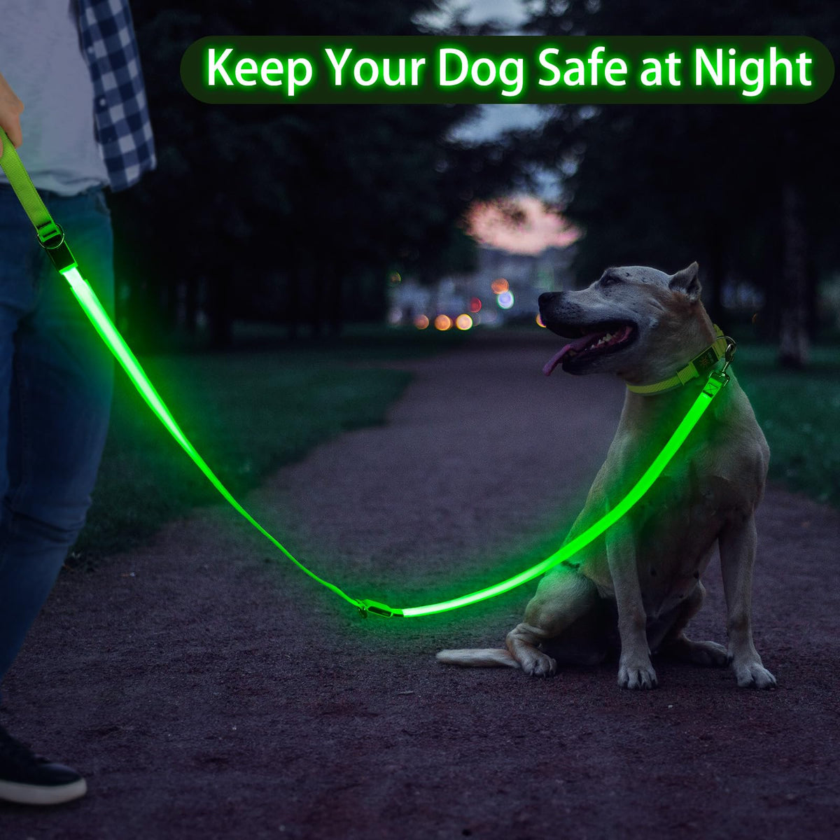 LED Light Up Dog Leash (Green / 6 Ft)