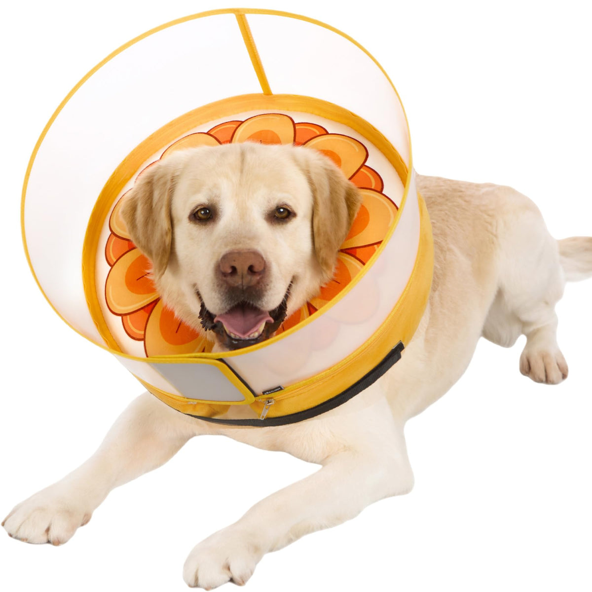 Inflatable Dog Cone Collar with Enhanced Anti (Medium+ / Yellow Flower)