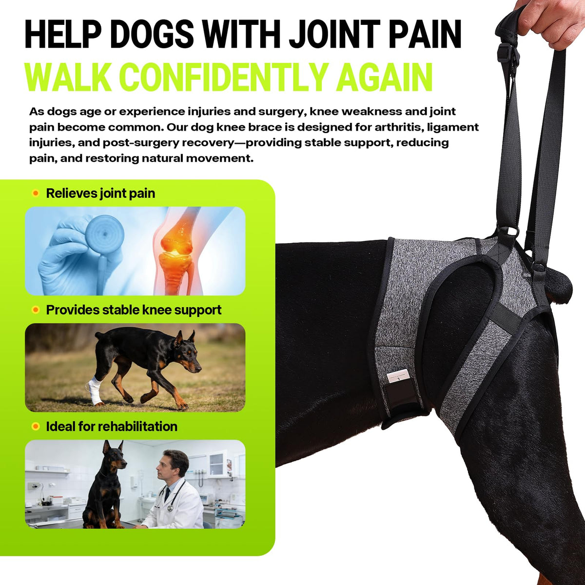 Dog Lift Harness (L / Grey)