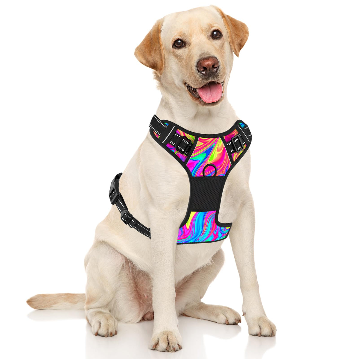 No Pull Dog Harness (Abstract Rainbow Art / Large)