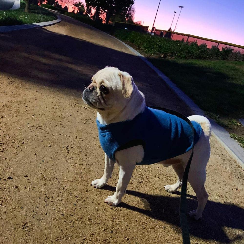 Stretch Fleece Vest Dog Sweater (XX-Large Length (18.5") / Steel Blue)