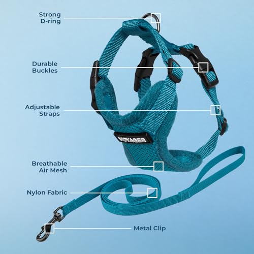 Voyager Step in Lock Cat Harness & Leash Set (Turquoise / XXS (Chest: 11.5 - 14"))