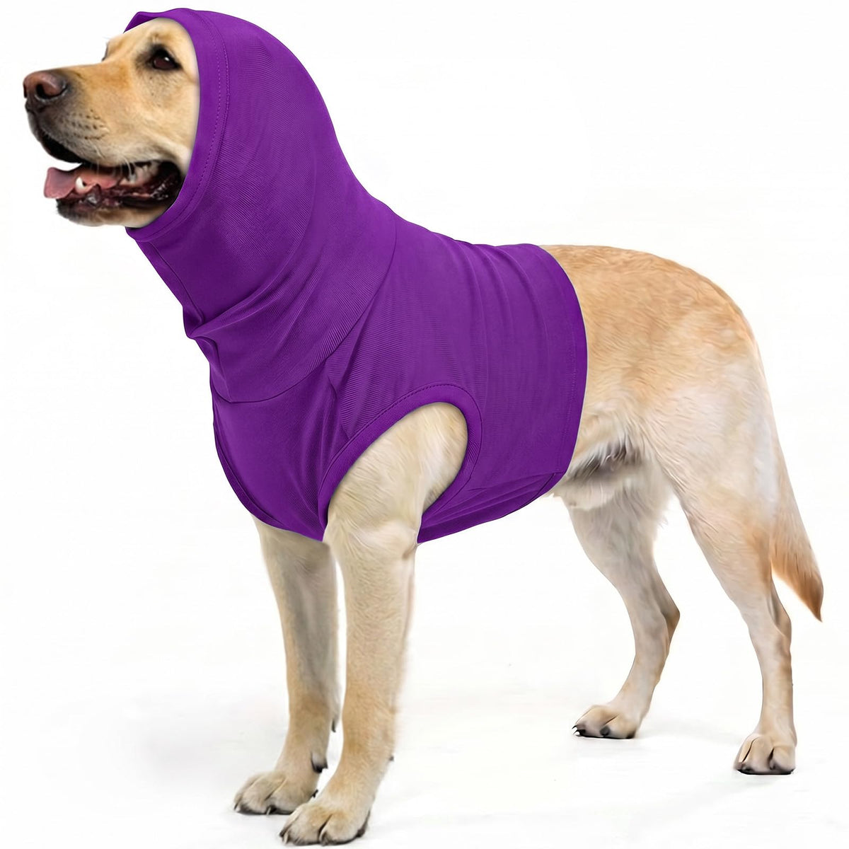 Dog Snood Post Surgery (DarkPurple / XL(Chest: 27.6"))