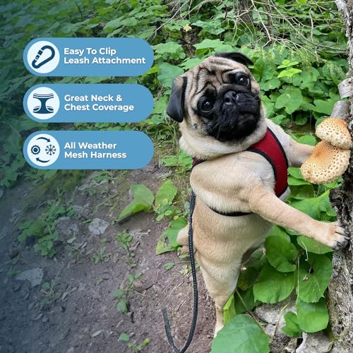 Voyager Step in Air All Weather Mesh Harness and Reflective Dog 5ft Leash Combo with Neoprene Handle