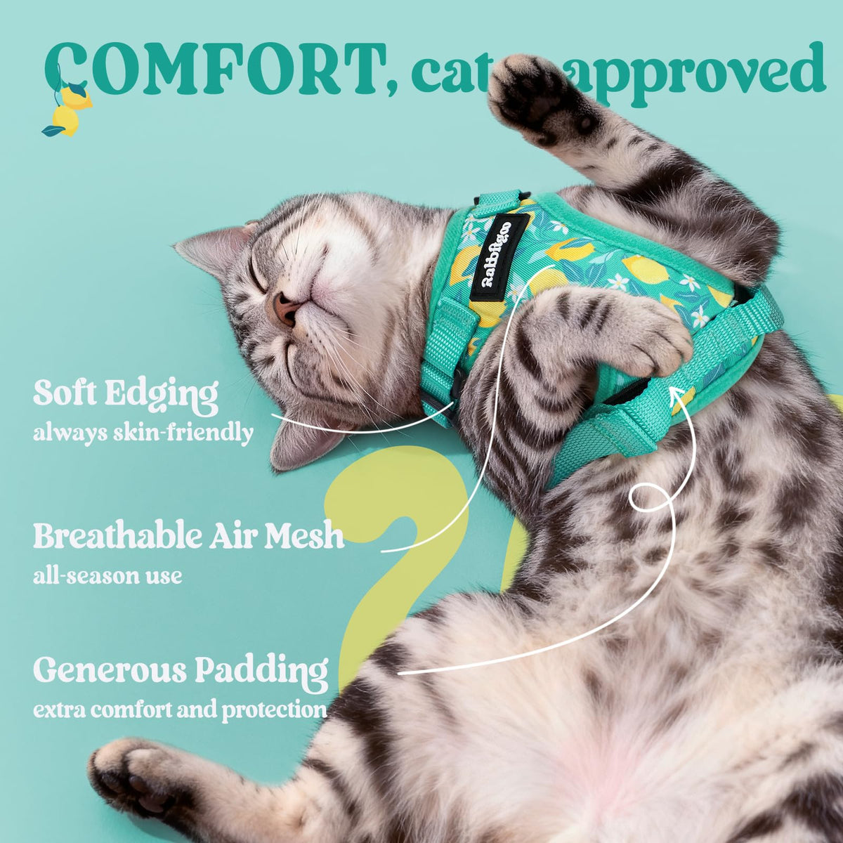 Cat Harness and Leash Set (S / Lemon Grove)