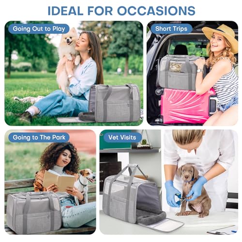 JUNGYOUN Premium Cat Carrier (Grey / 18.0"L x 12.0"W x 14.0"H)