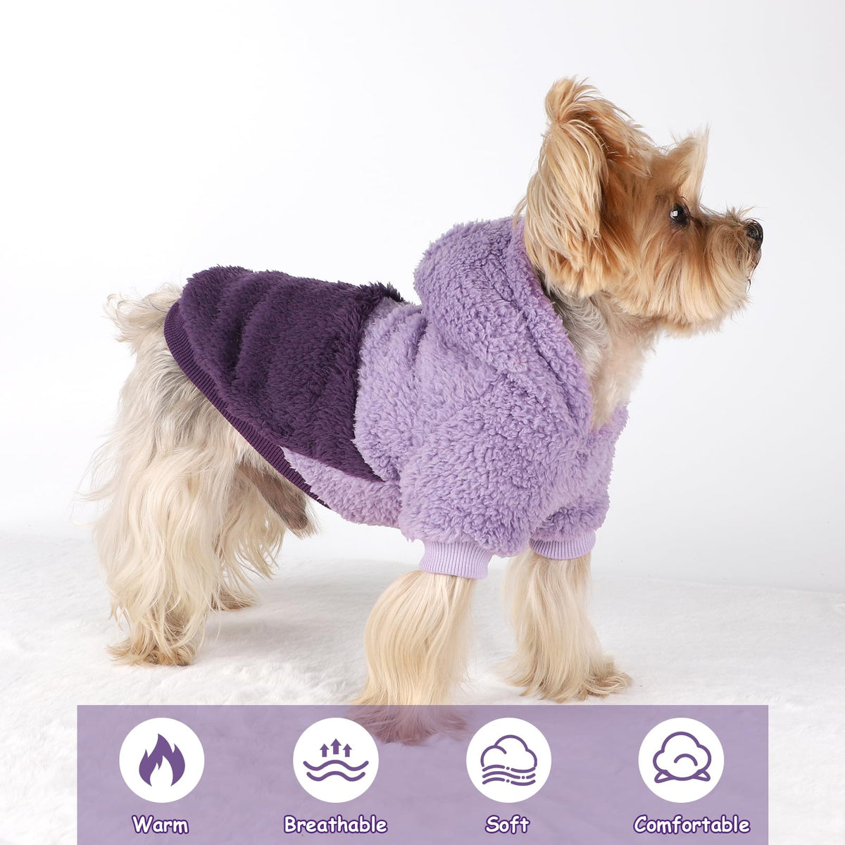 Dog Sweaters for Small Dogs (Medium (Chest 16.1in) / Purple)