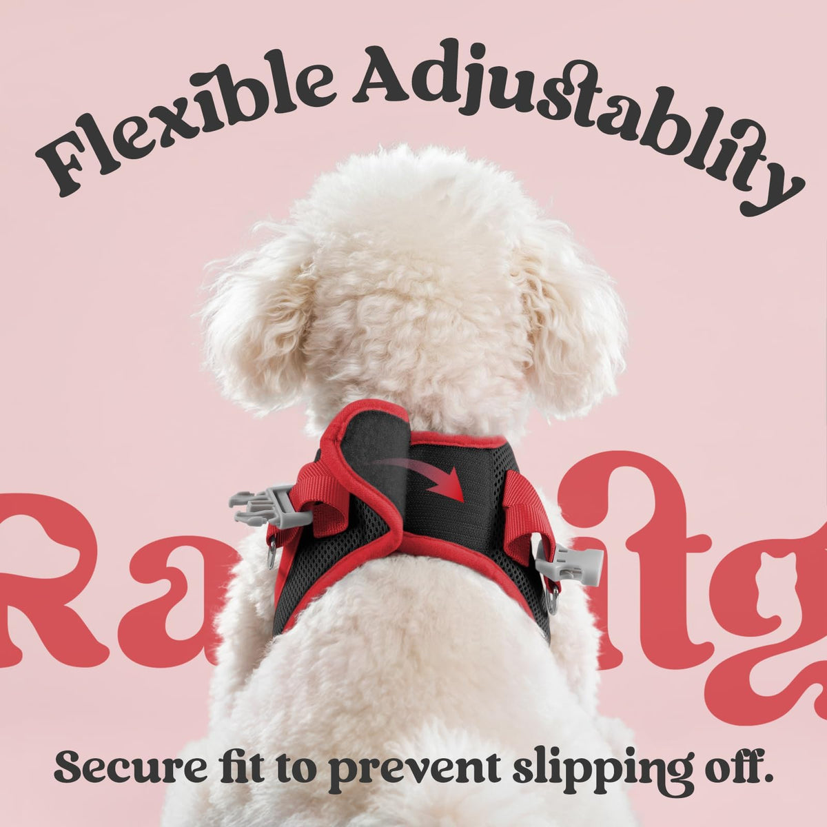 Dog Harness Small Sized and Leash Set (Black & Red / L (Chest: 18.2"-20.5"))