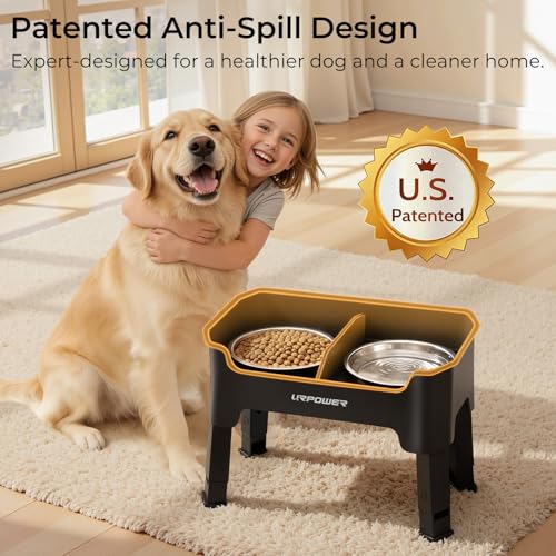 Mess Proof Elevated Dog Bowls (Black / Medium)