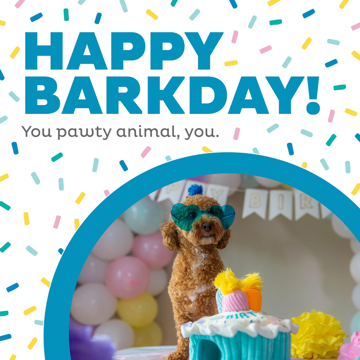 Hide-A-Birthday-Cake Plush Squeaky Dog Toy, 7.5" x 4.7"