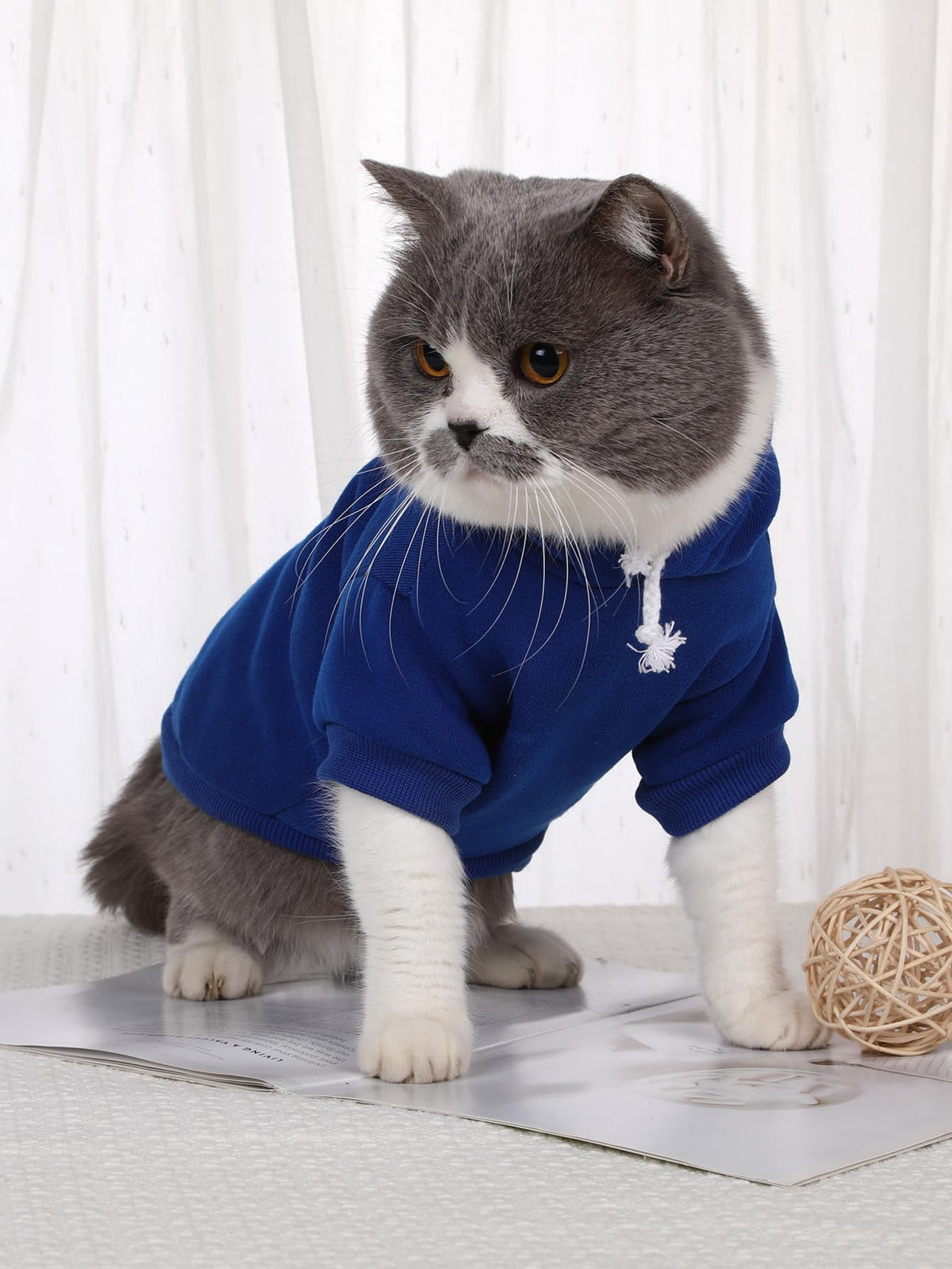 Basic Dog Hoodie Sweatshirt Puppy Sweater Warm Cat Costumes Pet Clothes for Chihuahua Puppy Kitten Small Medium Dogs Royal Blue Large (Large / Royal Blue)