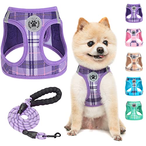 Small Dog Harness and Leash Set (XX-Small(Chest Girth 11.5"-13") / Purple)