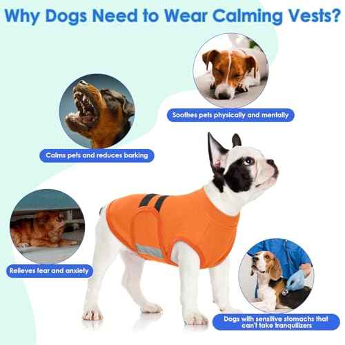 Dog Anxiety Relief Coat (Orange / Small)