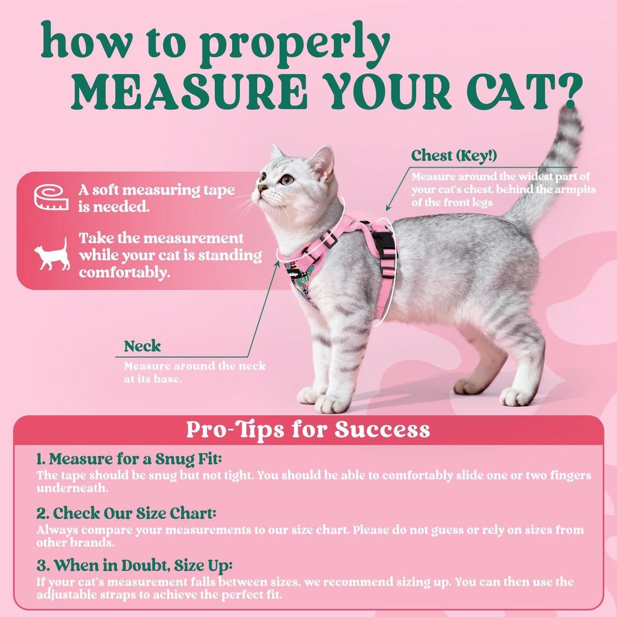 Cat Harness and Leash Set (M / Melon Munch)
