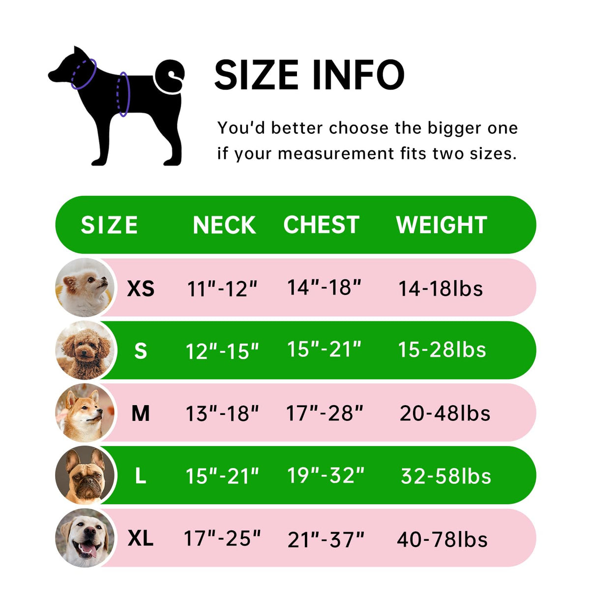 No Pull Dog Harness for Medium Dogs (Green / Medium)