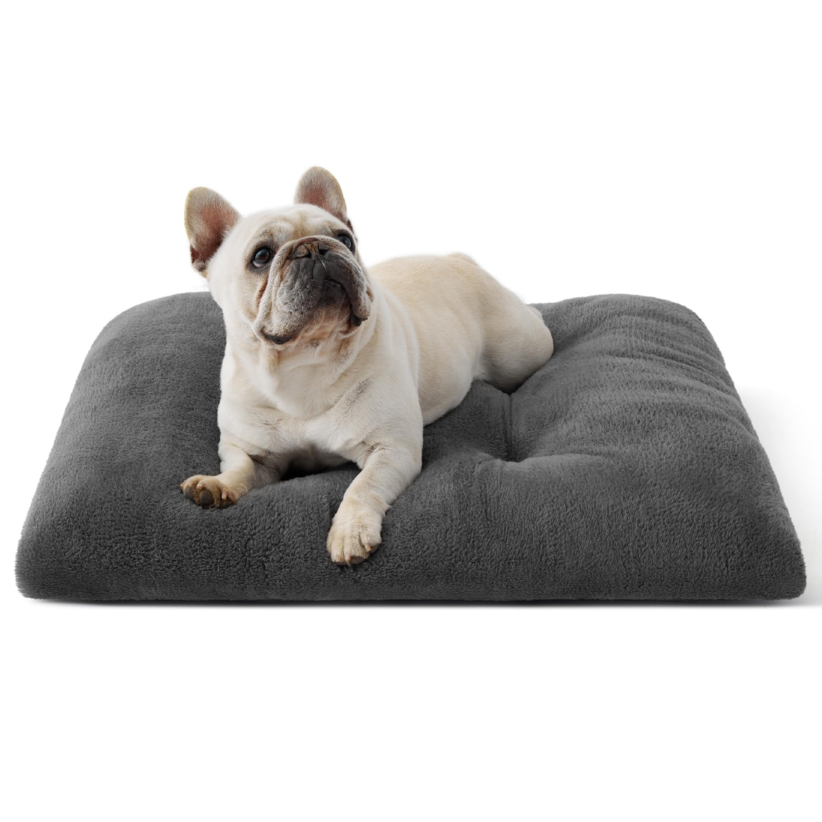 Washable Dog Bed Medium Size Dog (29"L x 21"W x 3"Th (M) / Dark Gray)