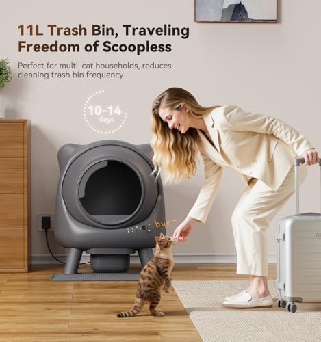 Automatic Litter Box