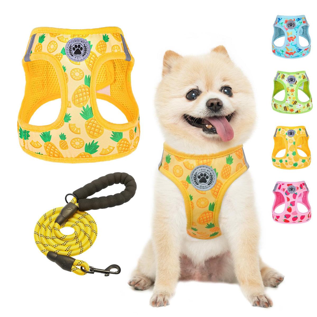 Small Dog Harness and Leash Set (Small(Chest Girth 14.5" - 16") / Pineapple)