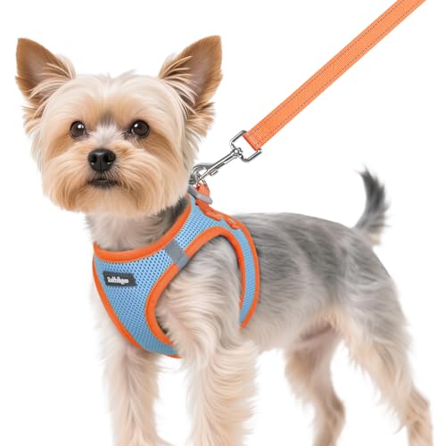 Dog Harness Small Sized and Leash Set (Blue & Orange / XS (Chest: 13.3"-15.5"))