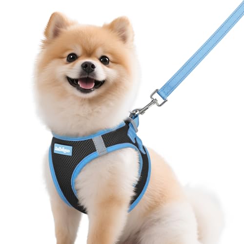 Dog Harness Small Sized and Leash Set (Black & Blue / M (Chest: 16.0"-18.5"))