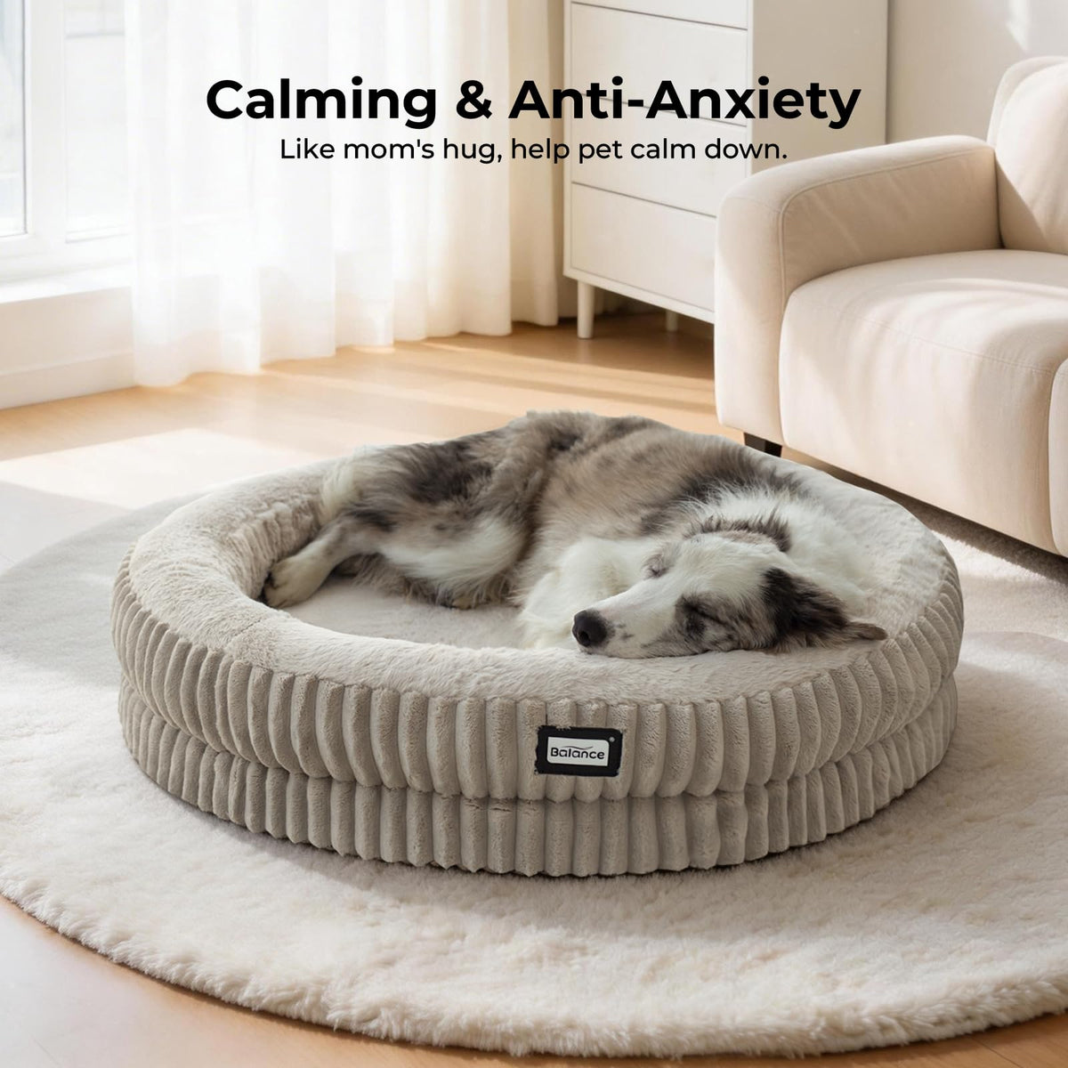 Donut Dog Bed (36.0"L x 36.0"W x 7.5"Th / Wind Chime)