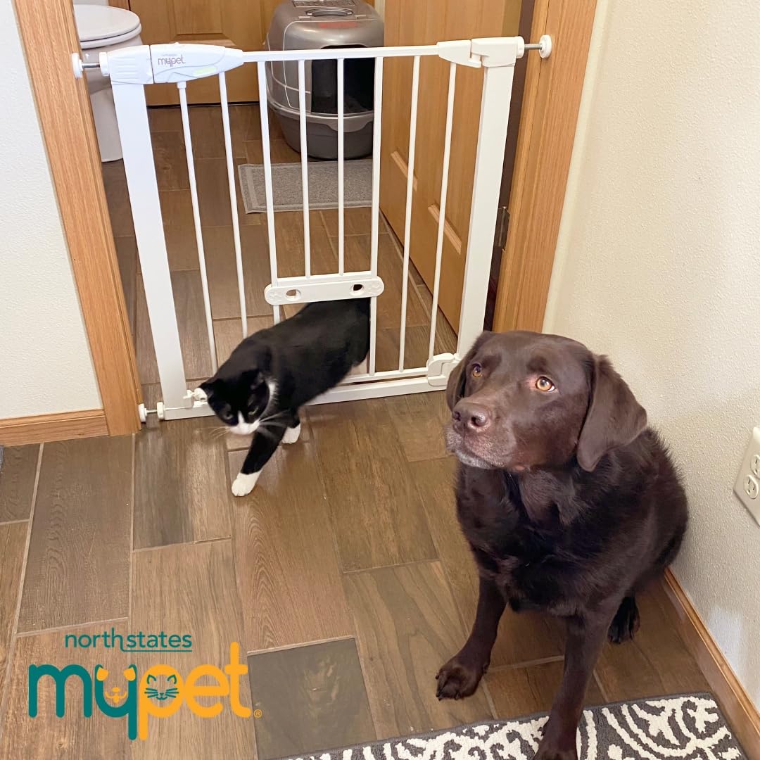 EasyPass Wide Walk Thru Pet Gate for Dogs and Cats (Walk Thru EasyPass / 30" Tall; 37.5" Wide / White)