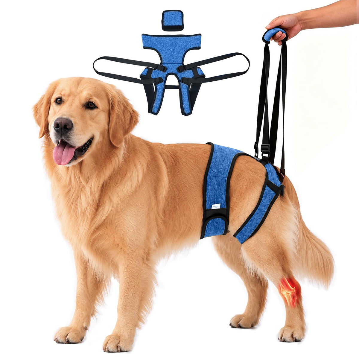 Dog Lift Harness (Blue / L(Waist:20-24",Weight:39-55lb))