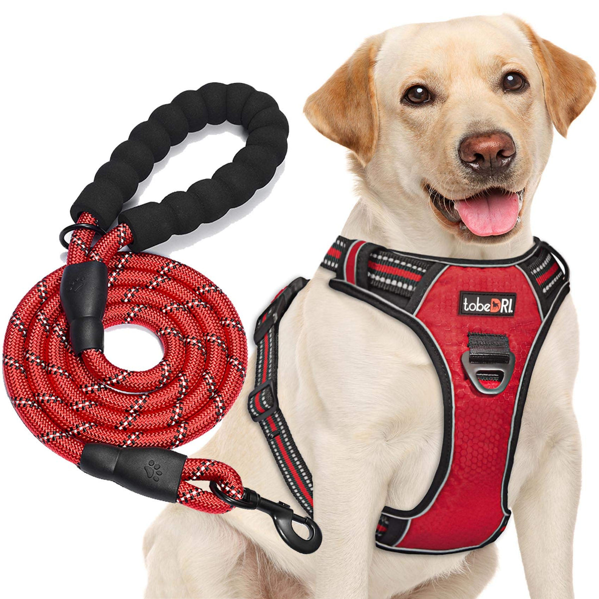 No Pull Dog Harness Adjustable Reflective Oxford Easy Control Medium Large Dog Harness with A Free Heavy Duty 5ft Dog Leash (Red / Large)