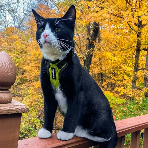 Voyager Step in Lock Cat Harness & Leash Set (Lime Green/Black Trim / XS (Chest: 13 - 16"))
