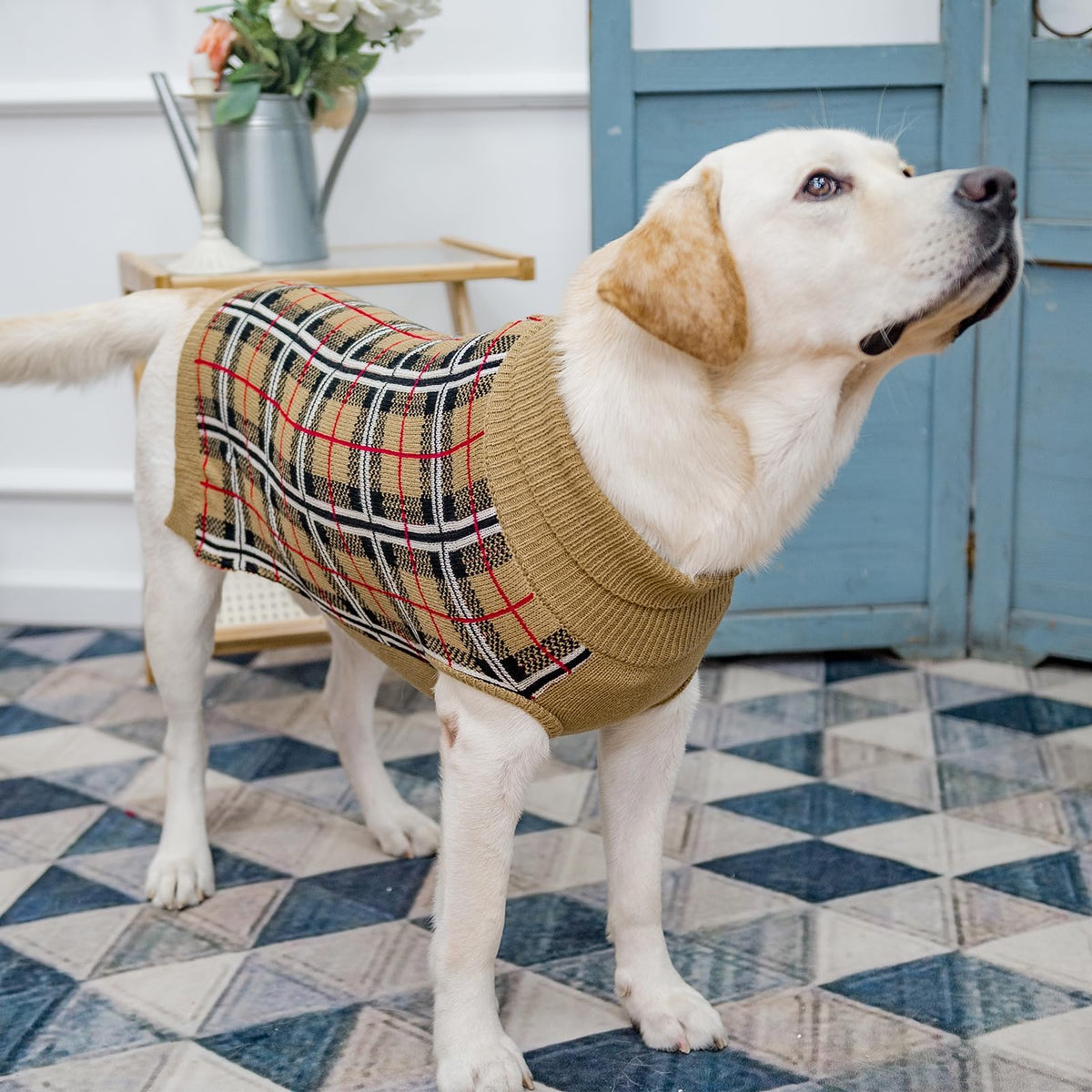 Dog Sweaters for Large Medium Small Dogs (XL - Chest 30", Back 24" / Cream)