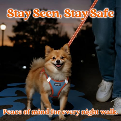 Dog Harness Small Sized and Leash Set (Blue & Orange / L (Chest: 18.2"-20.5"))